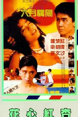 欧美深夜在线